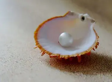 Программа Жемчужина моря